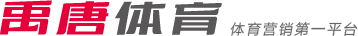 对控球权的
