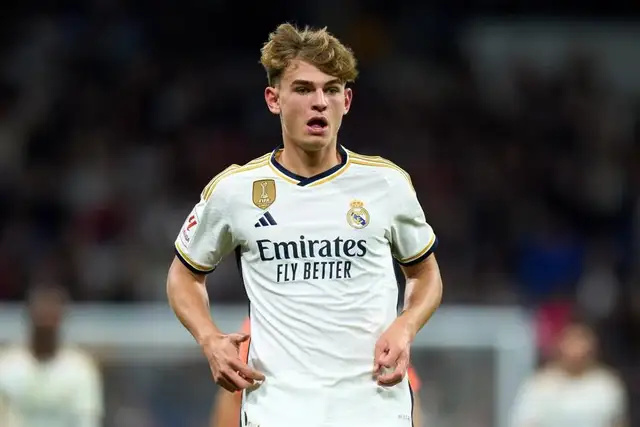 作为宠物主 作为宠物主