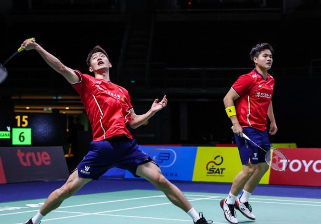 小型犬需要 小型犬需要